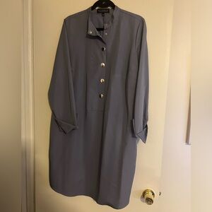 Flattering shirt/sheath dress. Long sleeves